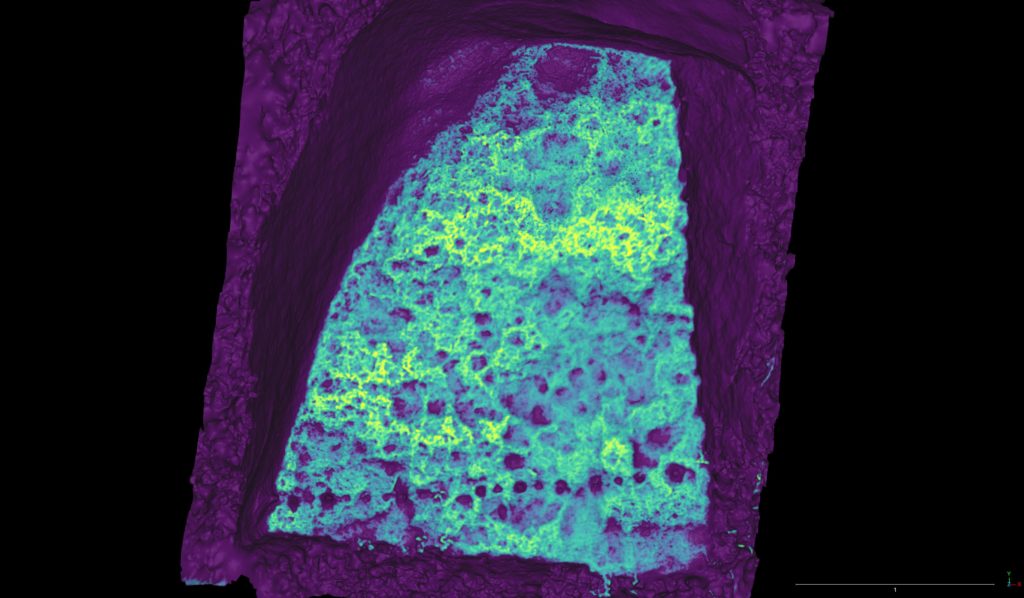 A false-colour image of the surface if the stone showing many circular markings.