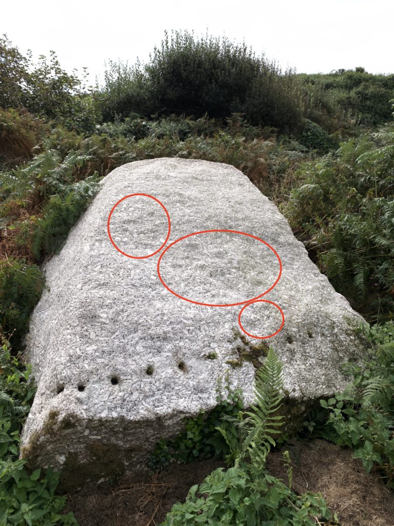 A large granite boulder surrounded by undergrowth, including ferns and nettles. A row of holes runs across the lower edge of the boulder, representing an attempt to break off a long lintel-shaped piece. Three red circles highlight where human-made shallow depressions known as cup-marks may survive on the surface. 